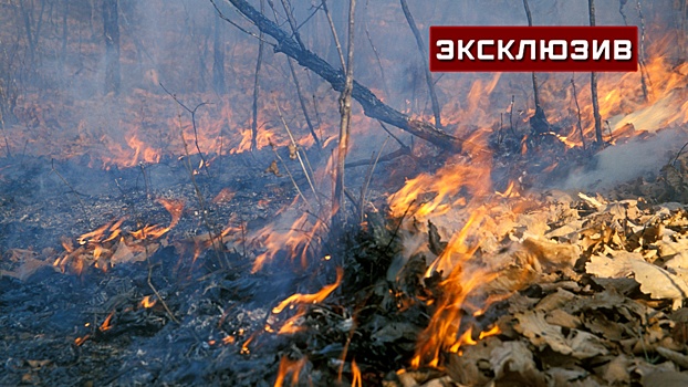 Последствия пожара в Чернобыле: какие страны могут пострадать при самом негативном развитии сценария