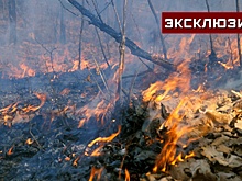 Последствия пожара в Чернобыле: какие страны могут пострадать при самом негативном развитии сценария