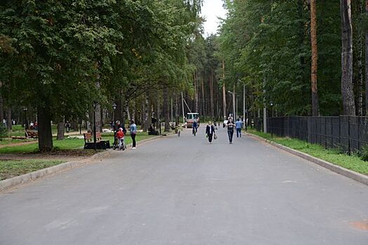 Парки в Костроме хотят сделать в каждом микрорайоне