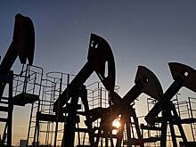 Мировые цены на нефть достигли максимума с 23 января