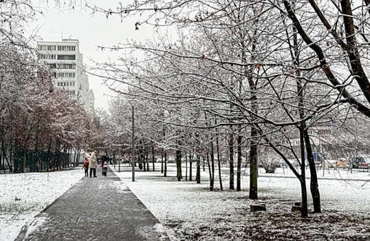 В Москве выпал первый в сезоне снег