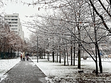 В Москве выпал первый в сезоне снег