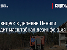 Фото, видео: в деревне Пеники проходит масштабная дезинфекция улиц