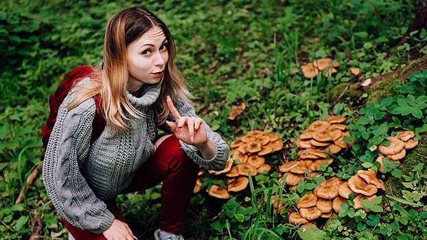 Сдам белых за 500 рублей: как москвичи зарабатывают на координатах грибных мест