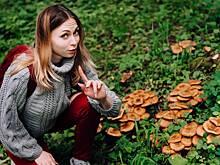 Сдам белых за 500 рублей: как москвичи зарабатывают на координатах грибных мест