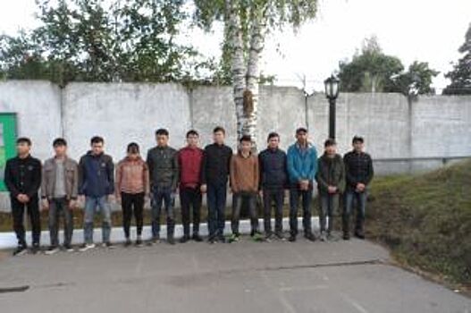 В Псковской области поймали на границе с Латвией 15 нарушителей-иностранцев