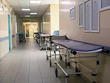 Россиянка выжила после укуса ядовитой змеи на Бали