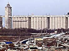 Экспорт российского зерна с начала сельхозгода составил 38,5 млн тонн