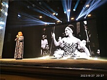 Вчера в Волгограде торжественно открылся второй фестиваль "Волгоградский факел"