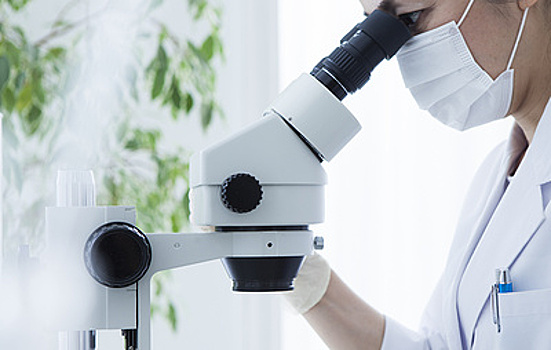 В Китае изобрели новый способ генного редактирования растений