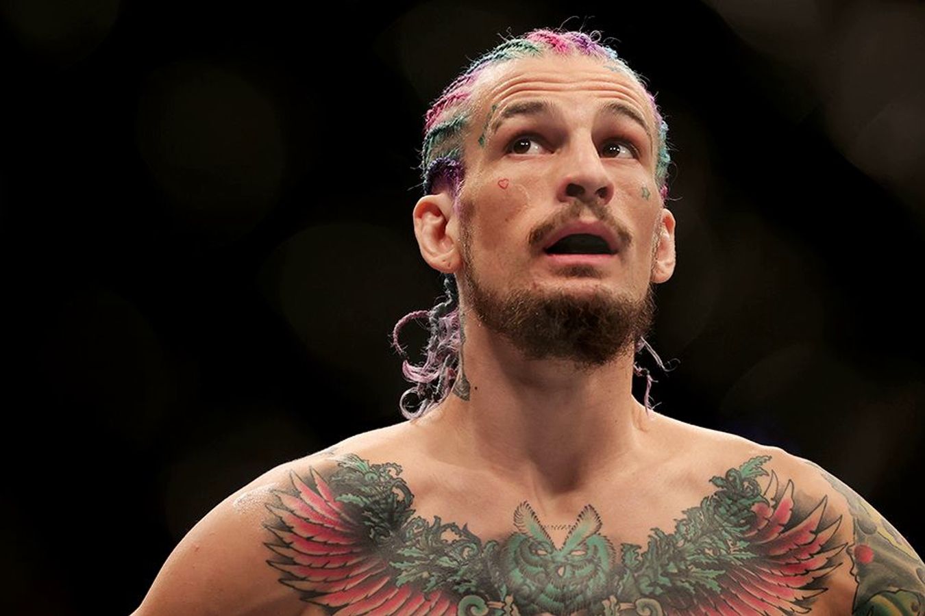 РЁРѕРЅ Рѕ РњСЌР»Р»Рё UFC 250