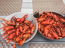 В День туризма в Самаре откроется гастрономический фестиваль