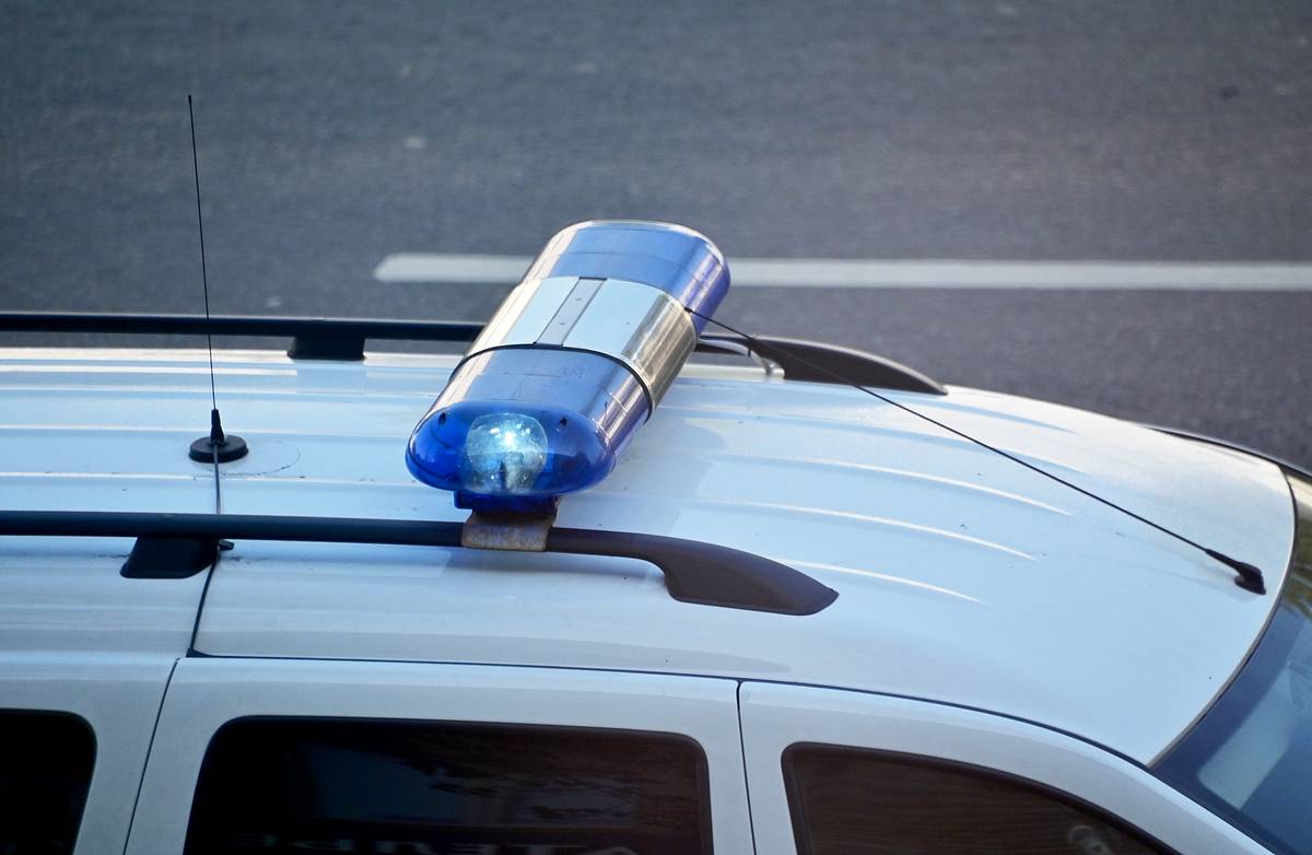 Российская чиновница в мороз бросила на трассе больше 20 породистых собак и поплатилась