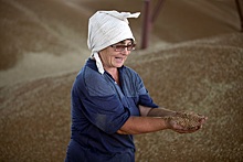 В российский интервенционный фонд закупили более 8,5 тыс тонн зерна