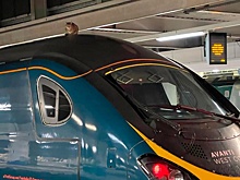 «Любопытство не погубило кота»: в Лондоне животное задержало отправление поезда на 2 часа