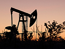 СМИ: Индия может ограничить поставки нефти из России при цене за баррель выше $60