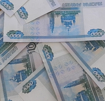 Нижегородцы за сутки перевели мошенникам около 3 млн рублей