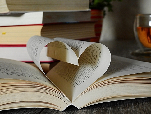Пища для ума: подборка книг для старшеклассников от библиотеки № 215