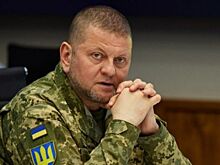 Замглавы Минобороны Украины сделала заявление о местонахождении Залужного