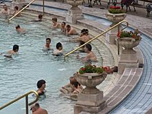 Венгерский гид раскрыл феномен популярного среди россиян СПА-курорта