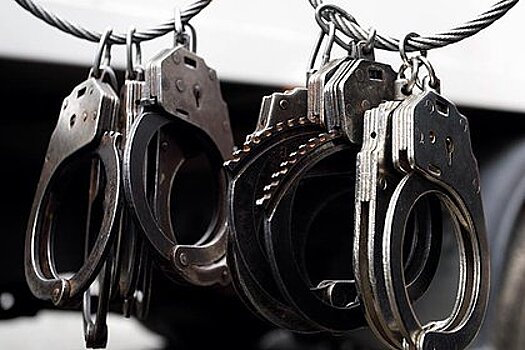 Отставного полковника ФСБ заподозрили в вымогательстве у жены члена ОПГ «Цапки»