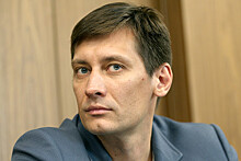 Экс-депутат Верховной Рады объяснил, почему Гудков уехал на Украину