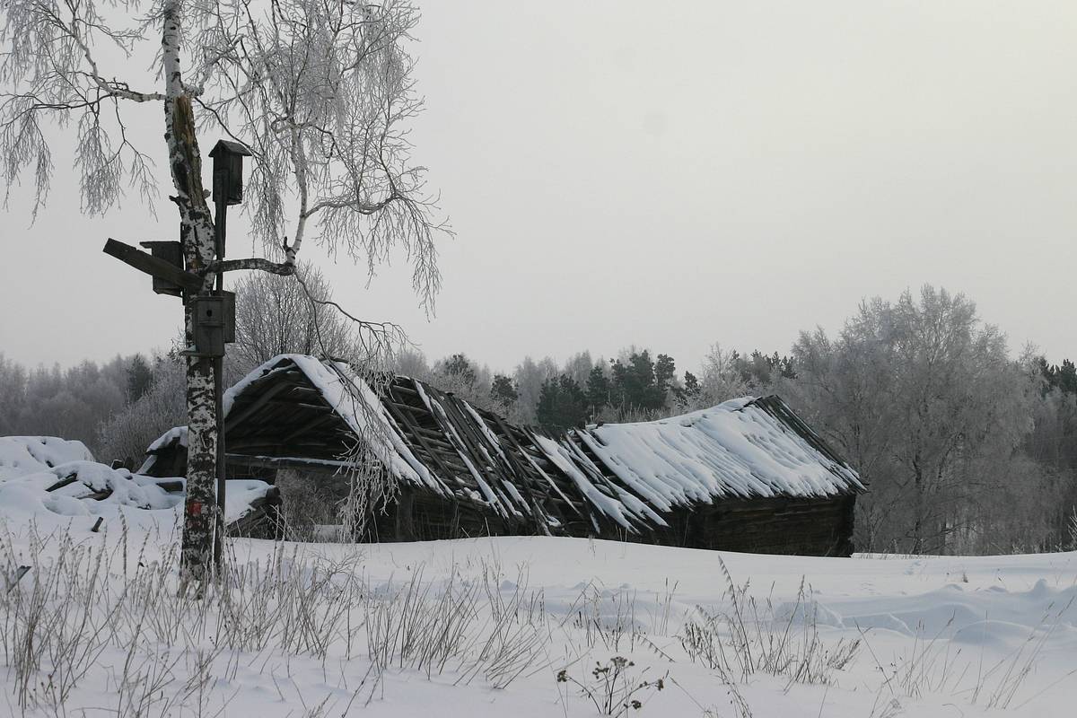 В России захотели избавиться от Новоселья