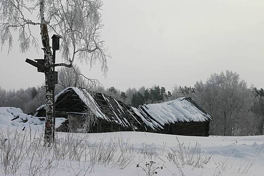 В России захотели избавиться от Новоселья