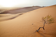 Что скрывается под песками Сахары