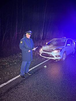 Таксист насмерть сбил пешехода в Калужской области