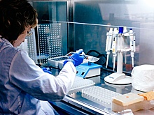 Роспотребнадзор: в России подтвержден первый случай оспы обезьян