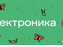 Подмосковные полицейские задержали двух братьев, подозреваемых в мошенничестве с бонусами лояльности