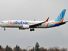 Источник: летевший в Дубай самолет flydubai сел в Москве из-за трещины на лобовом стекле