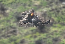 Наземный дрон-камикадзе "Лягушка" уничтожил пулеметное гнездо ВСУ