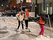 Убирающих снег кубинок заметили в Москве