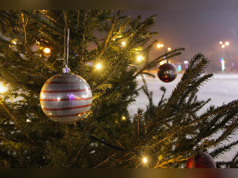 Большинство читинцев встретят Новый 2026 год дома