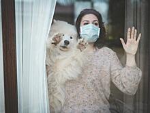 В ЕСПЧ отказались признать локдаун нарушением прав человека: Новости ➕1, 17.11.2021