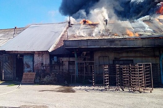 МЧС России сообщило о пожаре на территории пекарни в Пензе