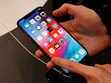 Сенатор призвал россиян проверить iPhone на наличие вирусов