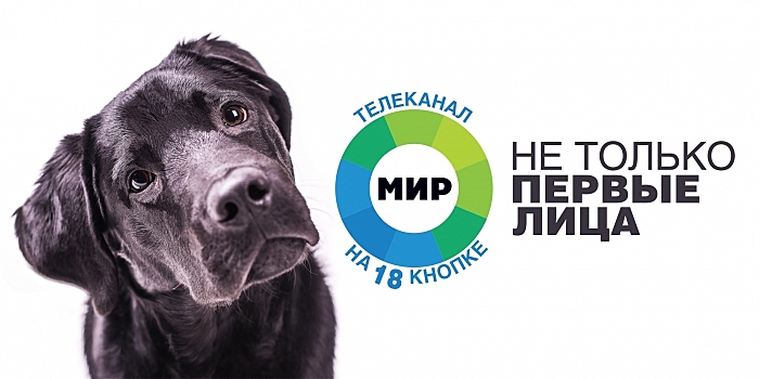 "Не только первые лица": телеканал "Мир" сделал лицом рекламной кампании собаку