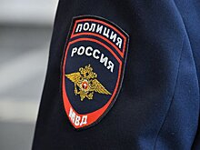 Сбивший амурского тигра водитель не затормозил при виде животного на дороге