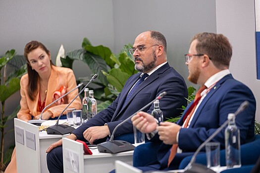 Судьбу исторического центра Владивостока назвали на ВЭФ