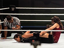 WWE разрешили проводить турниры во Флориде