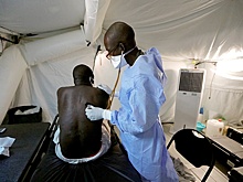 Не менее 17 человек погибли от лихорадки долины Рифт в Сенегале