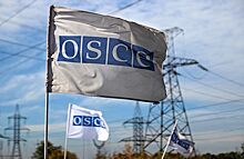 Reuters: американские сотрудники миссии ОБСЕ уехали из Донецка