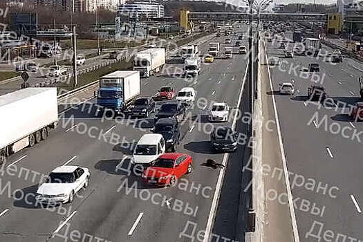 В Москве два автомобиля сбили пешехода, пытавшегося перебежать МКАД