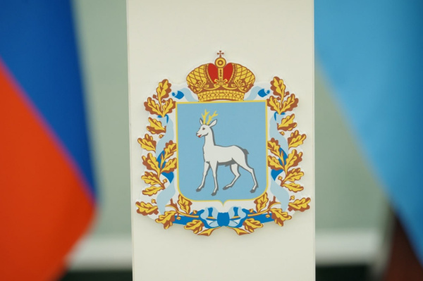 Минпромторг Самарской области пресек незаконный оборот алкоголя в Тольятти