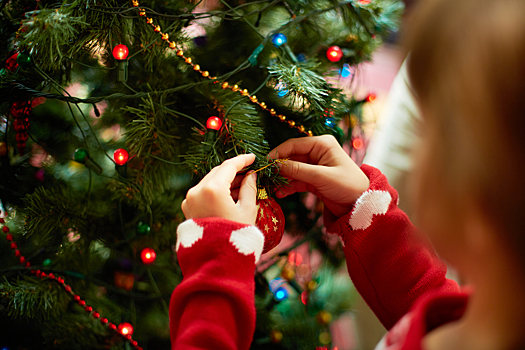 5 игрушек, которые нельзя вешать на новогоднюю елку