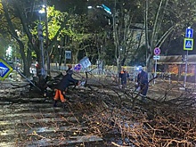 Мэр Сочи рассказал о работе по ликвидации последствий удара стихии