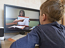 Дистанционное обучение признано хуже традиционного